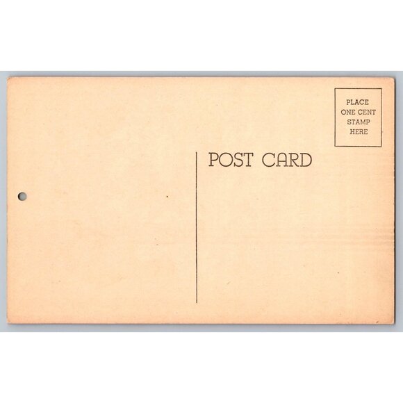 Vintage San Carlos French Cafe Postcard With Monkeys Phoenix Arizona Humor #1593 - Picture 2 of 2